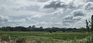 දඹුල්ලේන් අනර්ග ඉඩමක් විකිණීමට - Land for sale in Dambulla