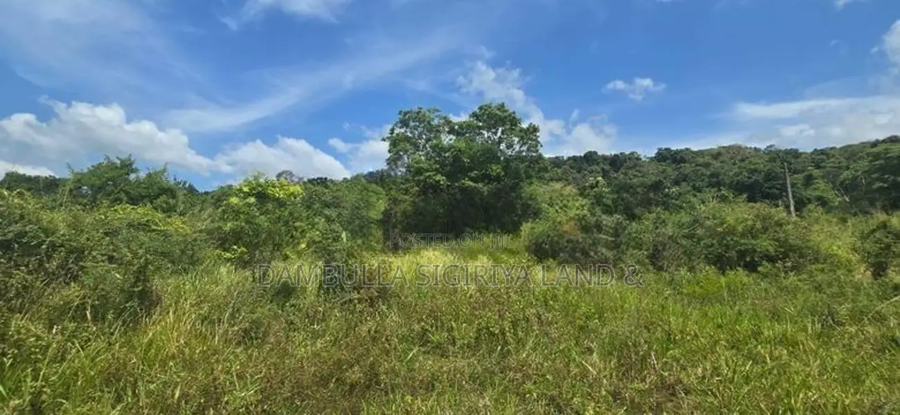 දඹුල්ල නුවර ප්‍රධාන මාර්ගයට සමීපයෙන් ඉඩමක් විකිණීමට-Land For Sale