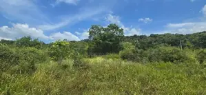 දඹුල්ල නුවර ප්‍රධාන මාර්ගයට සමීපයෙන් ඉඩමක් විකිණීමට-Land For Sale