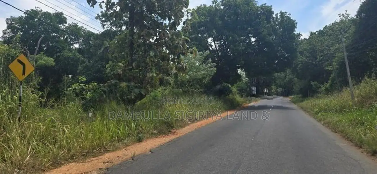 දඹුල්ලෙන් ඉඩමක් විකිණීමට - Land for Sale in Dambulla
