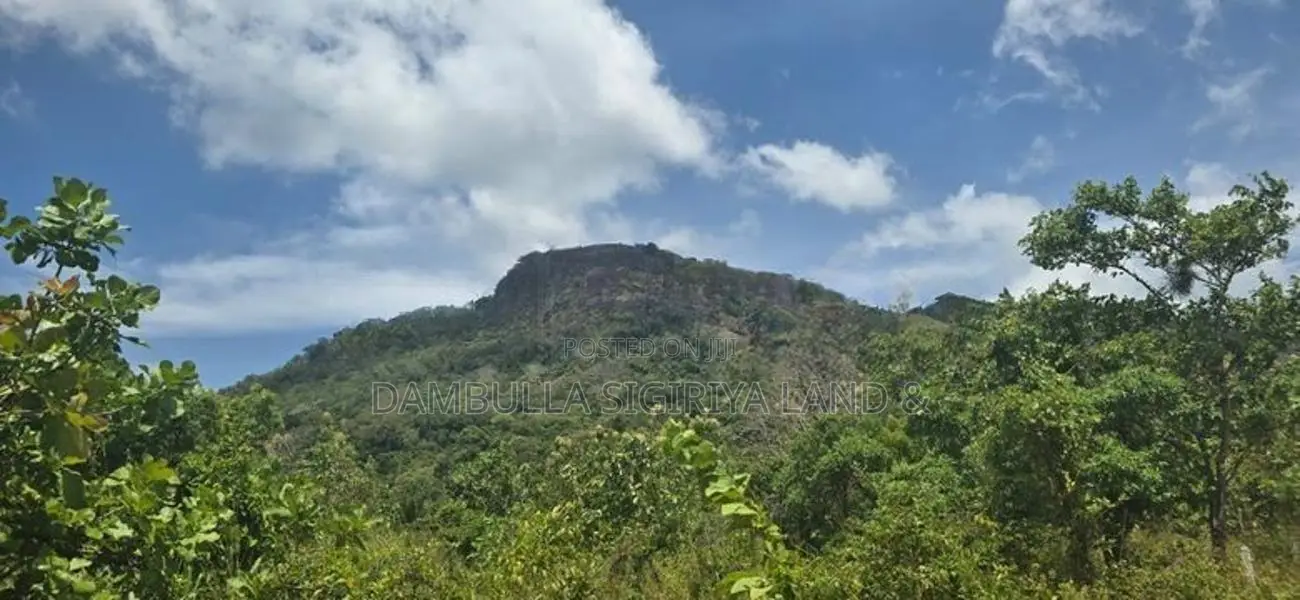 දඹුල්ලෙන් අනර්ග ඉඩමක් විකිණීමට - Land for Sale in Dambulla