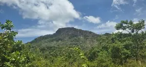 දඹුල්ලෙන් අනර්ග ඉඩමක් විකිණීමට - Land for Sale in Dambulla