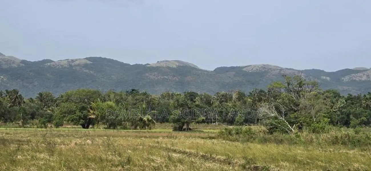 Land for Sale in Dambulla - දඹුල්ලෙන් ඉඩමක් විකිණීමට