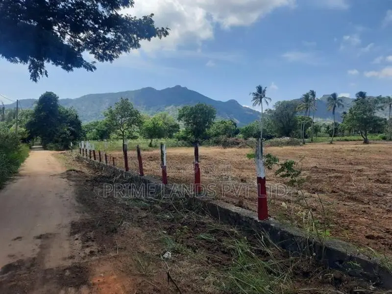 දඹුල්ල නුවර පාරට නුදුරින් නගරසභා සීමාවෙන්ම ඉඩම්