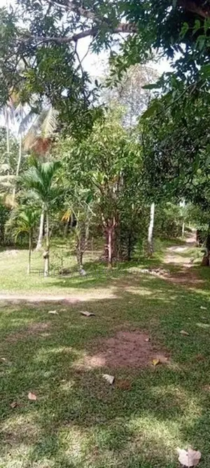 50 Perch Land for Sale – Kurunegala