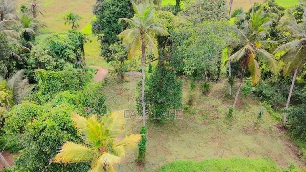 Baduragoda සුන්දර වෙල්යායකට මුහුණලා නේවාසික බිම් කොටසක් / YS 15002