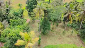 Baduragoda සුන්දර වෙල්යායකට මුහුණලා නේවාසික බිම් කොටසක් / YS 15002