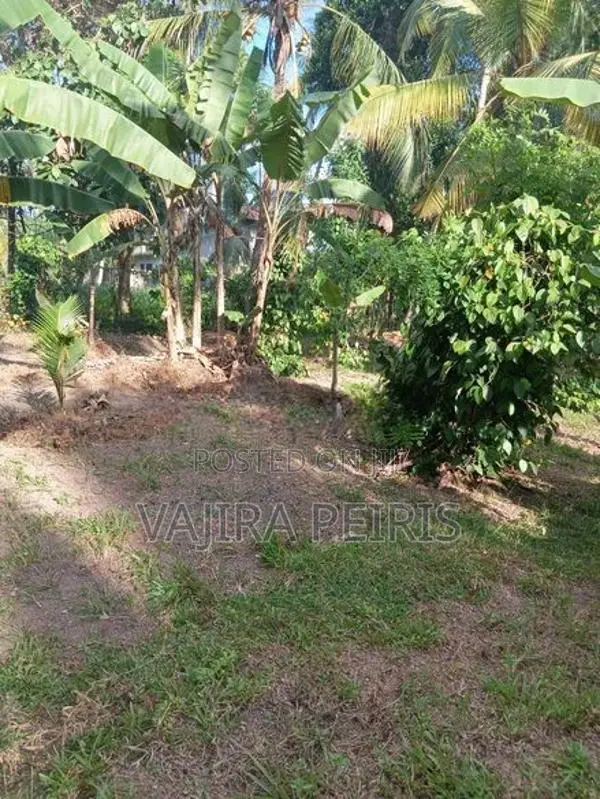 20P Prime Land for Sale in Yakkala