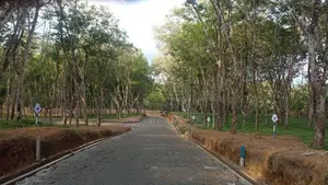 Land for Sale in Ahangama