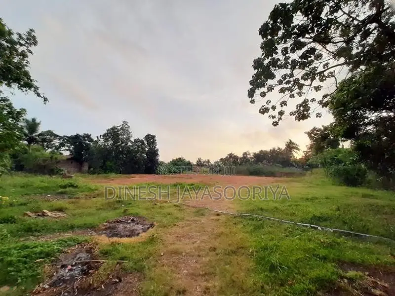 Prime 100 Perches Land for Sale in Ekala, Ja-Ela