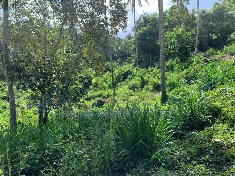 Land for Sale Gelioya