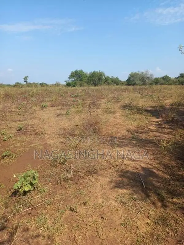 තනමල්විල ඉඩමක් විකිණීමට