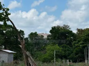Land for sale in sigiriya
