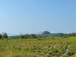 Land for Sale in Sigiriya