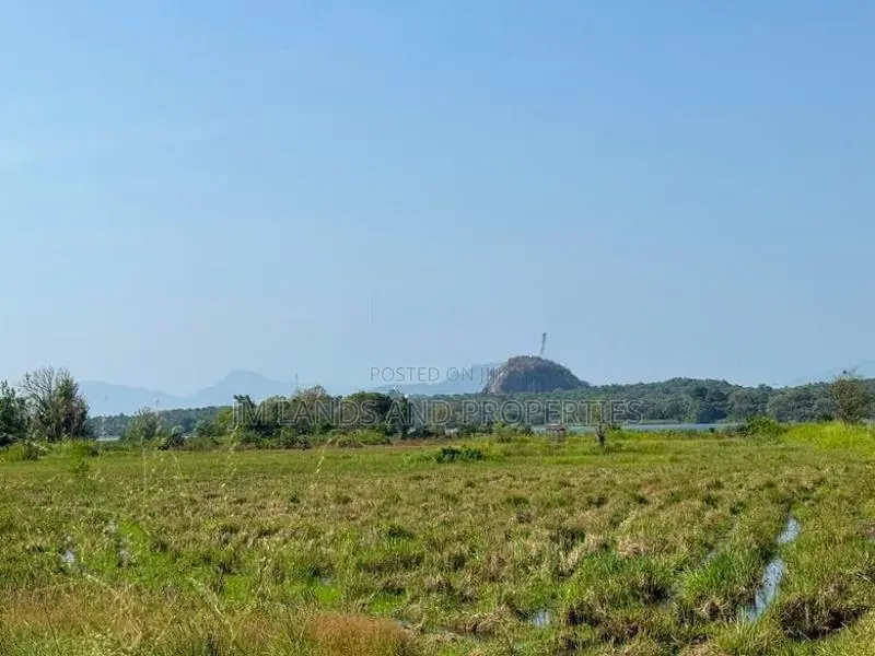 Land for Sale in Sigiriya