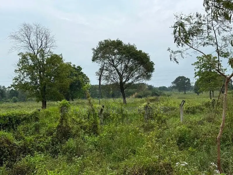 Land for Sale in Sigiriya