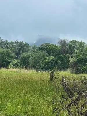 Land for Sale in Sigiriya