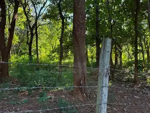Land for Sale in Habaran
