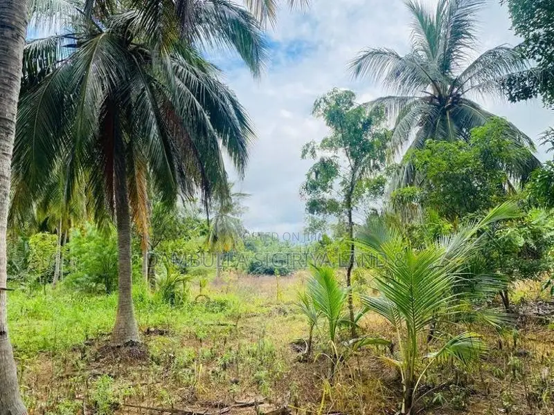 Land For Sale in Dambulla - දඹුල්ලේන් ඉඩමක් විකිණීමට