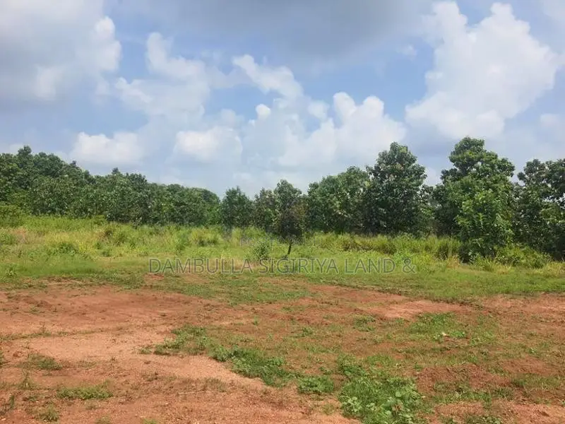 දඹුල්ලෙන් ඉඩමක් විකිණීමට