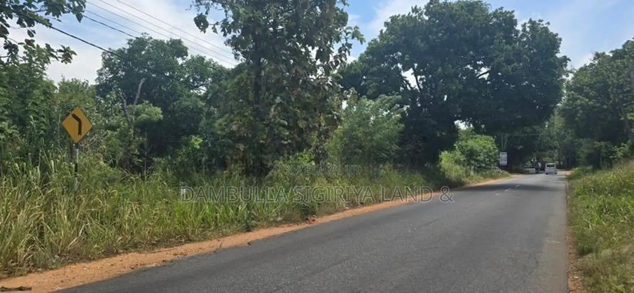 දඹුල්ලෙන් ඉඩමක් විකිණීමට - Land for Sale in Dambulla