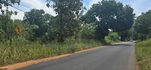 දඹුල්ලෙන් ඉඩමක් විකිණීමට - Land for Sale in Dambulla
