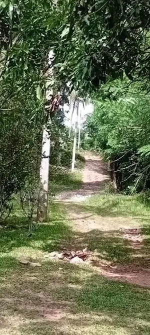 50 Perch Land for Sale – Kurunegala