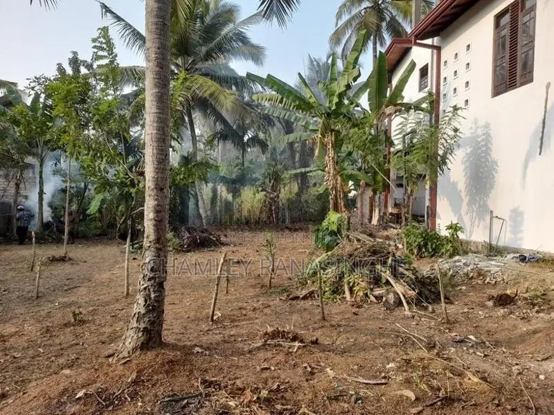 15P Valuable Residential Land for Sale in Weliweriya