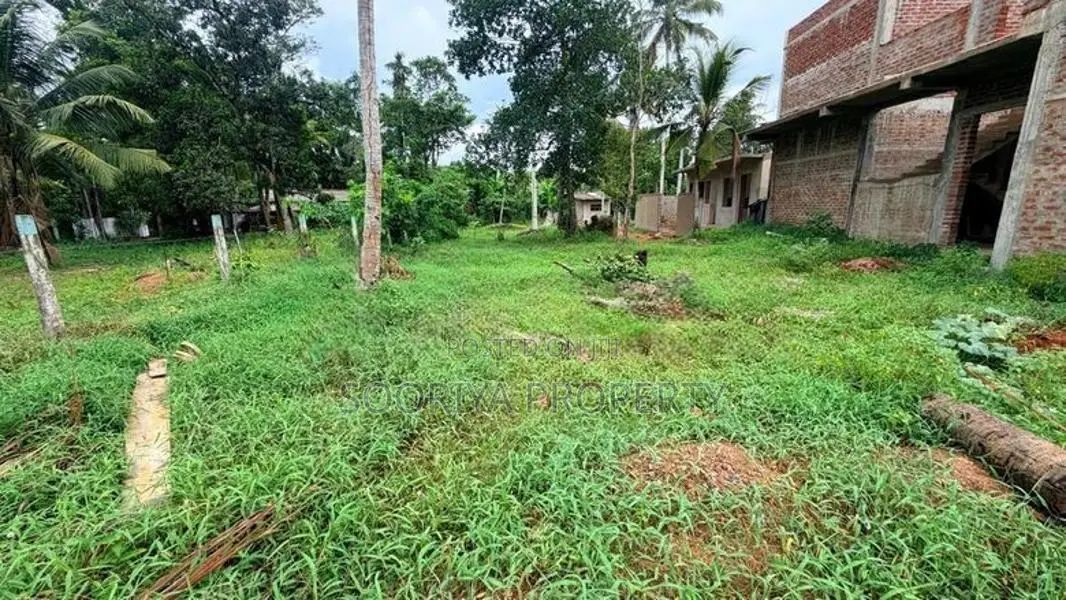 NEAR BUS ROAD LAND FOR SALE IN PILIYANDALA