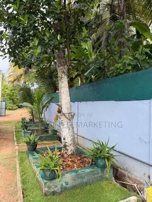Villa for Sale In Ambalangoda (Madampagama)