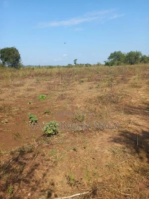 තනමල්විල ඉඩමක් විකිණීමට