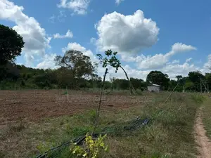 Land for sale in sigiriya