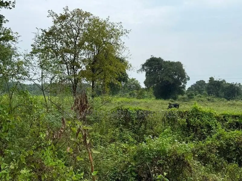 Land for Sale in Sigiriya