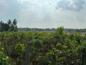 Land for Sale in Sigiriya