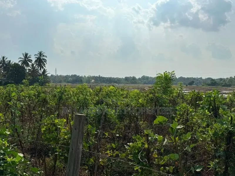 Land for Sale in Sigiriya