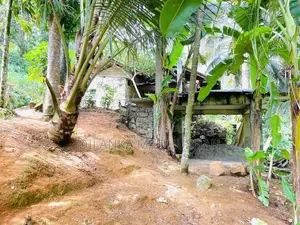 මාතර - ඌරුබොක්ක ප්‍රධාන පාරට මුහුණලා දම්පහල නගරයෙන් ඉඩමක් විකිණීමට