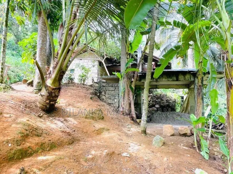 මාතර - ඌරුබොක්ක ප්‍රධාන පාරට මුහුණලා දම්පහල නගරයෙන් ඉඩමක් විකිණීමට