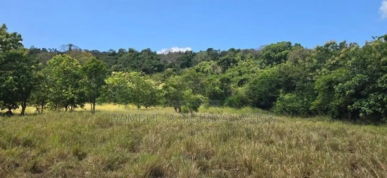 Land for Sale in Dambulla