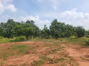 දඹුල්ලෙන් ඉඩමක් විකිණීමට