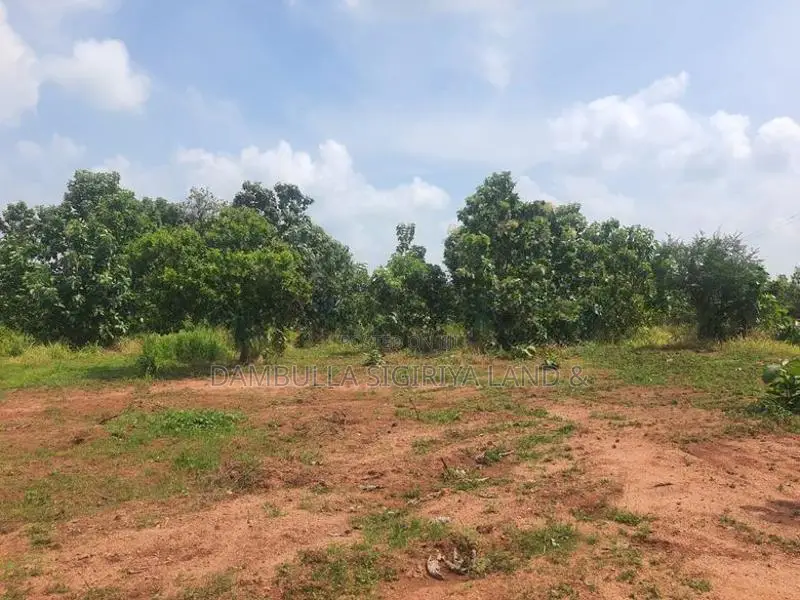 දඹුල්ලෙන් ඉඩමක් විකිණීමට