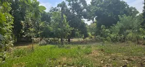 දඹුල්ලෙන් ඉඩමක් විකිණීමට - Land for Sale in Dambulla