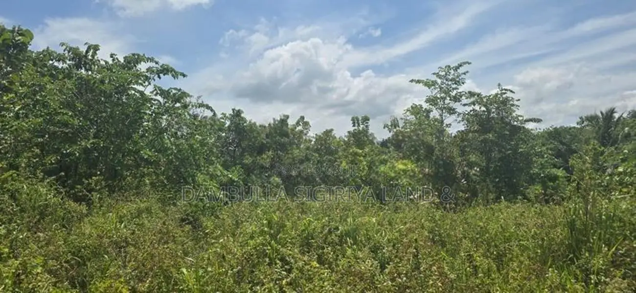දඹුල්ලෙන් ඉඩමක් විකිණීමට - Land for Sale in Dambulla