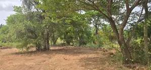Land for Sale in Dambulla - දඹුල්ලෙන් ඉඩමක් විකිණීමට