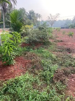 Land For Sale In Kotugoda