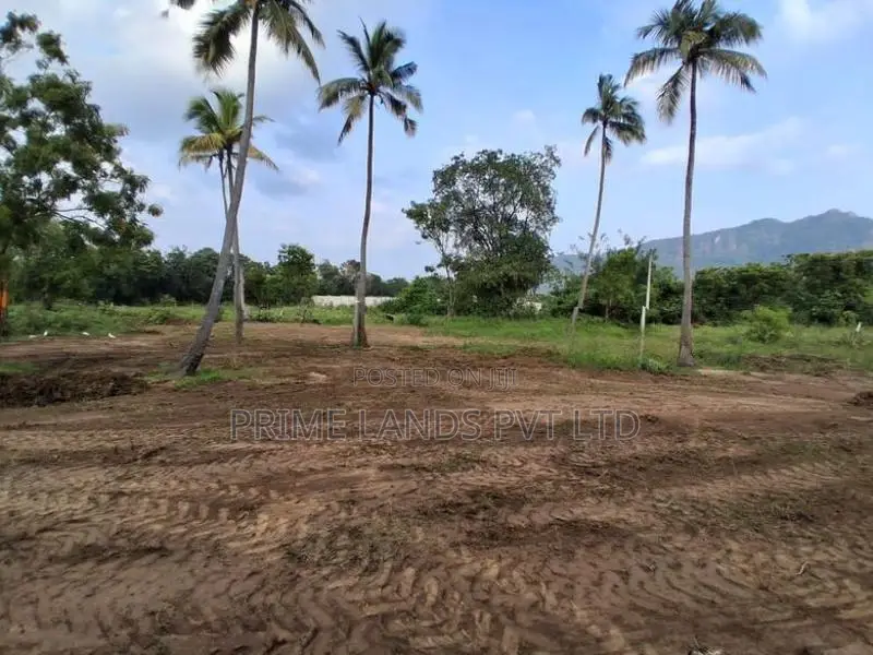 දඹුල්ල නුවර පාරට නුදුරින් නගරසභා සීමාවෙන්ම ඉඩම්