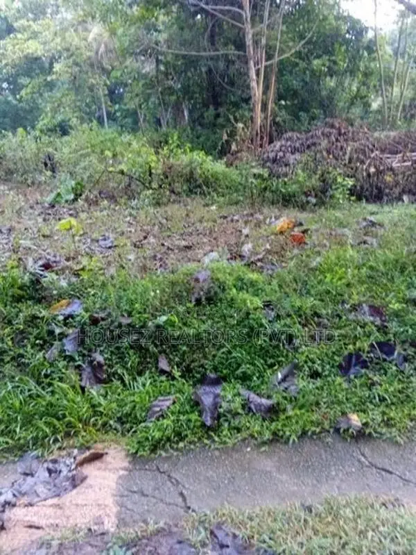 50 Perch Land for Sale – Kurunegala