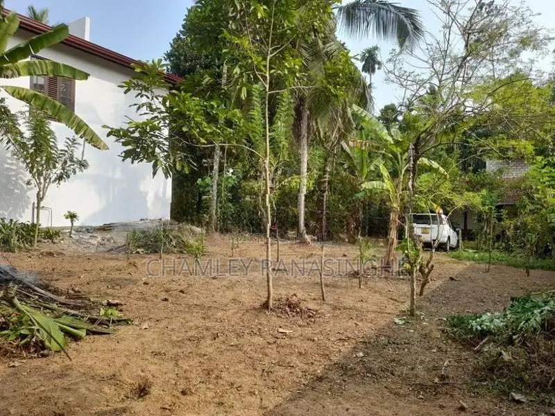 15P Valuable Residential Land for Sale in Weliweriya
