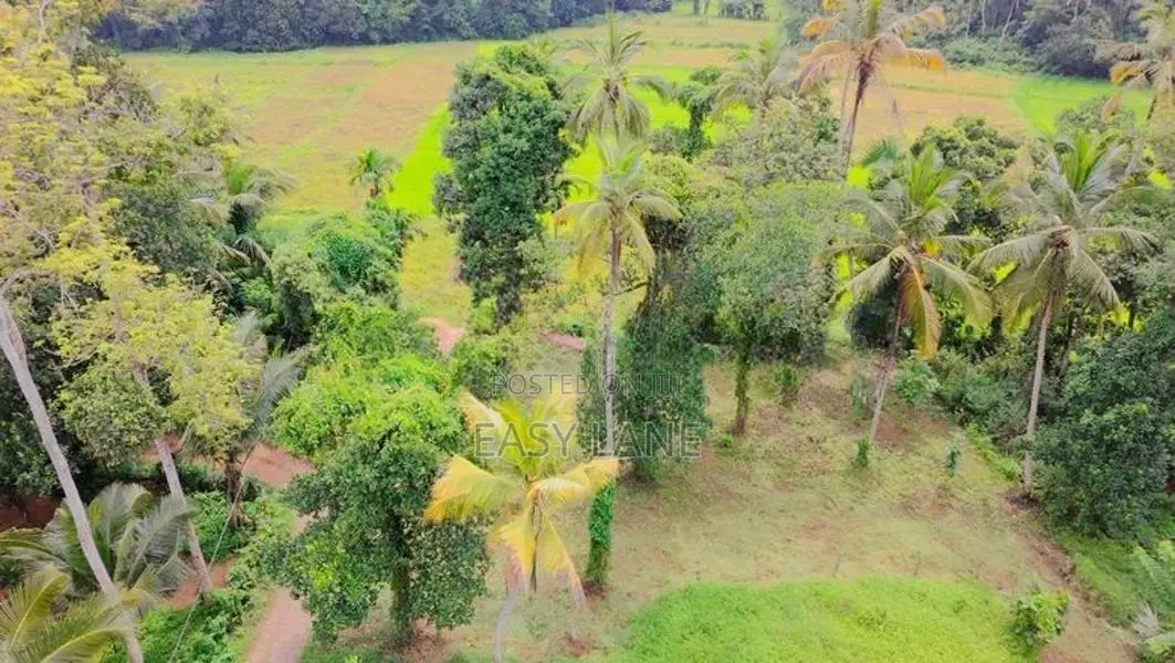 Baduragoda සුන්දර වෙල්යායකට මුහුණලා නේවාසික බිම් කොටසක් / YS 15002