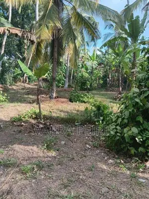 20P Prime Land for Sale in Yakkala