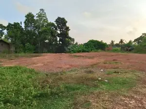 Prime 100 Perches Land for Sale in Ekala, Ja-Ela